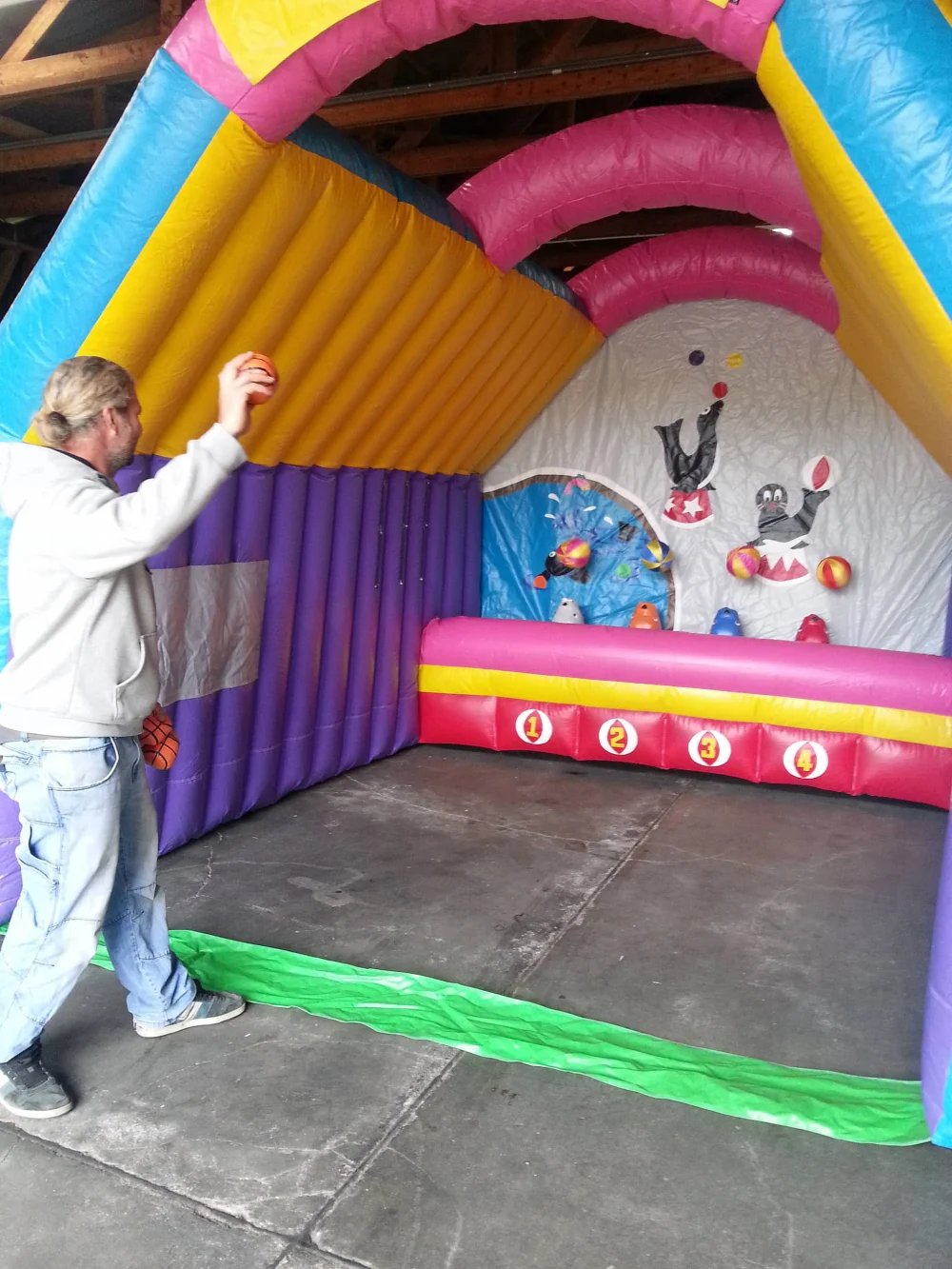 Zirkus Seelöwen Ballspiel