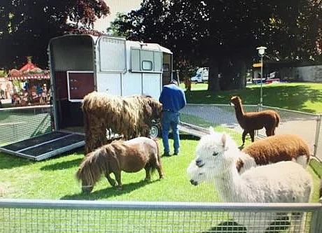 Kleintierzoo / Streichelzoo