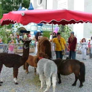 Kleintierzoo / Streichelzoo