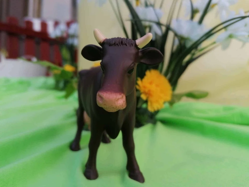 Kuhfischen - Chüelifischen